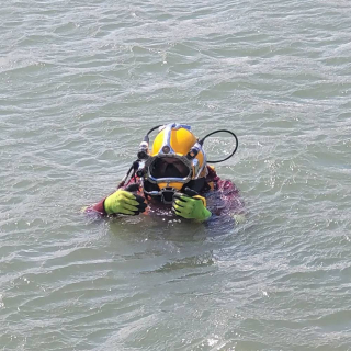 Underwater Photo Gallery