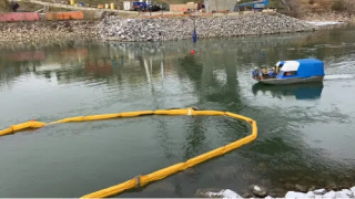 Underwater Photo Gallery