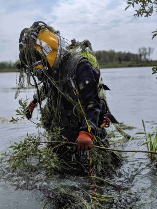 Underwater Photo Gallery