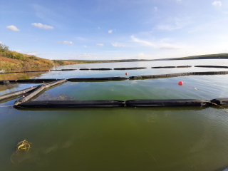 Underwater Photo Gallery