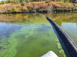 Underwater Photo Gallery