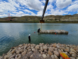 Underwater Photo Gallery