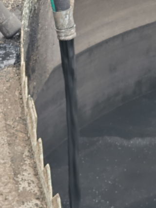 Underwater Photo Gallery