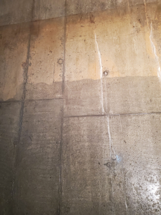 Underwater Photo Gallery