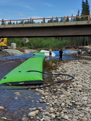 Underwater Photo Gallery