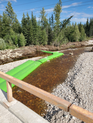 Underwater Photo Gallery