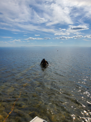 Underwater Photo Gallery