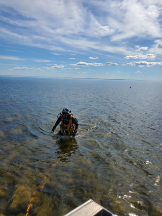 Underwater Photo Gallery