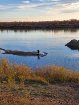 Underwater Photo Gallery