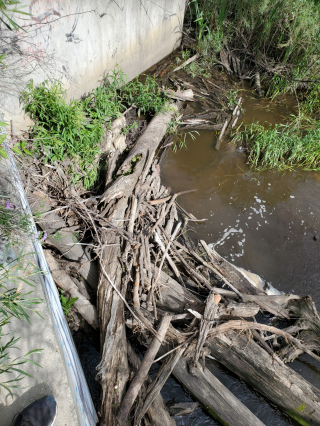 Underwater Photo Gallery