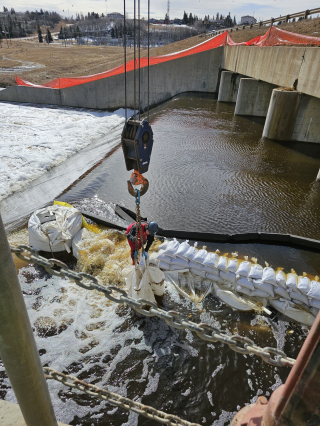 Underwater Photo Gallery — True Depth Diving