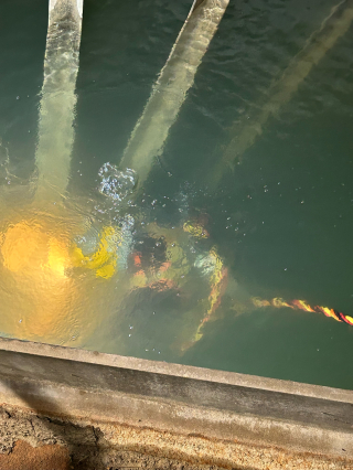 Underwater Photo Gallery — True Depth Diving