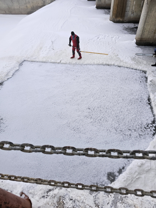 Underwater Photo Gallery — True Depth Diving