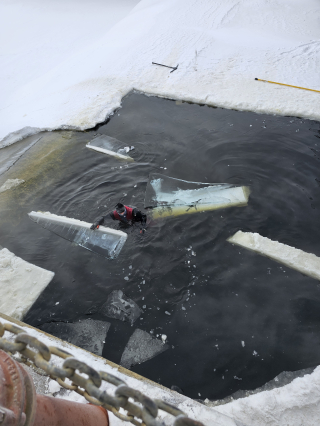 Underwater Photo Gallery — True Depth Diving