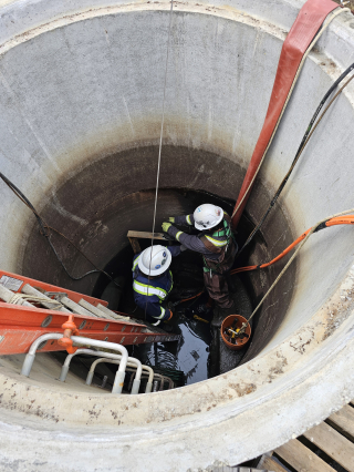 Underwater Photo Gallery — True Depth Diving