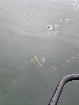 Underwater Photo Gallery — True Depth Diving