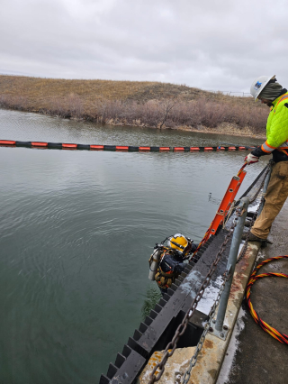 Underwater Photo Gallery — True Depth Diving
