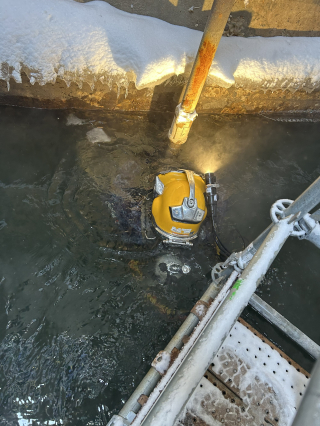 Underwater Photo Gallery — True Depth Diving