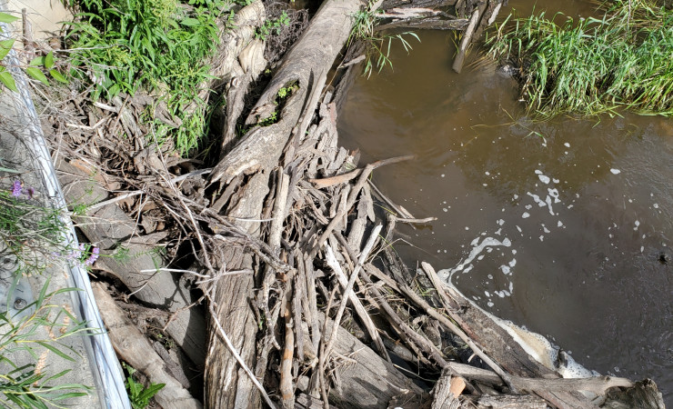 Environmental Services