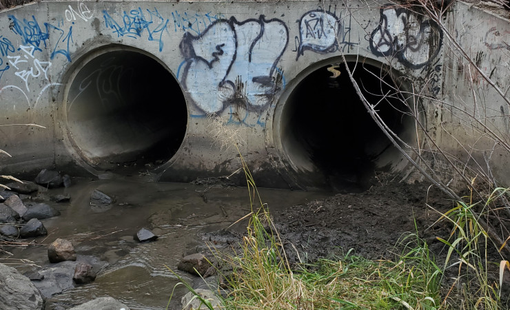 Environmental Services